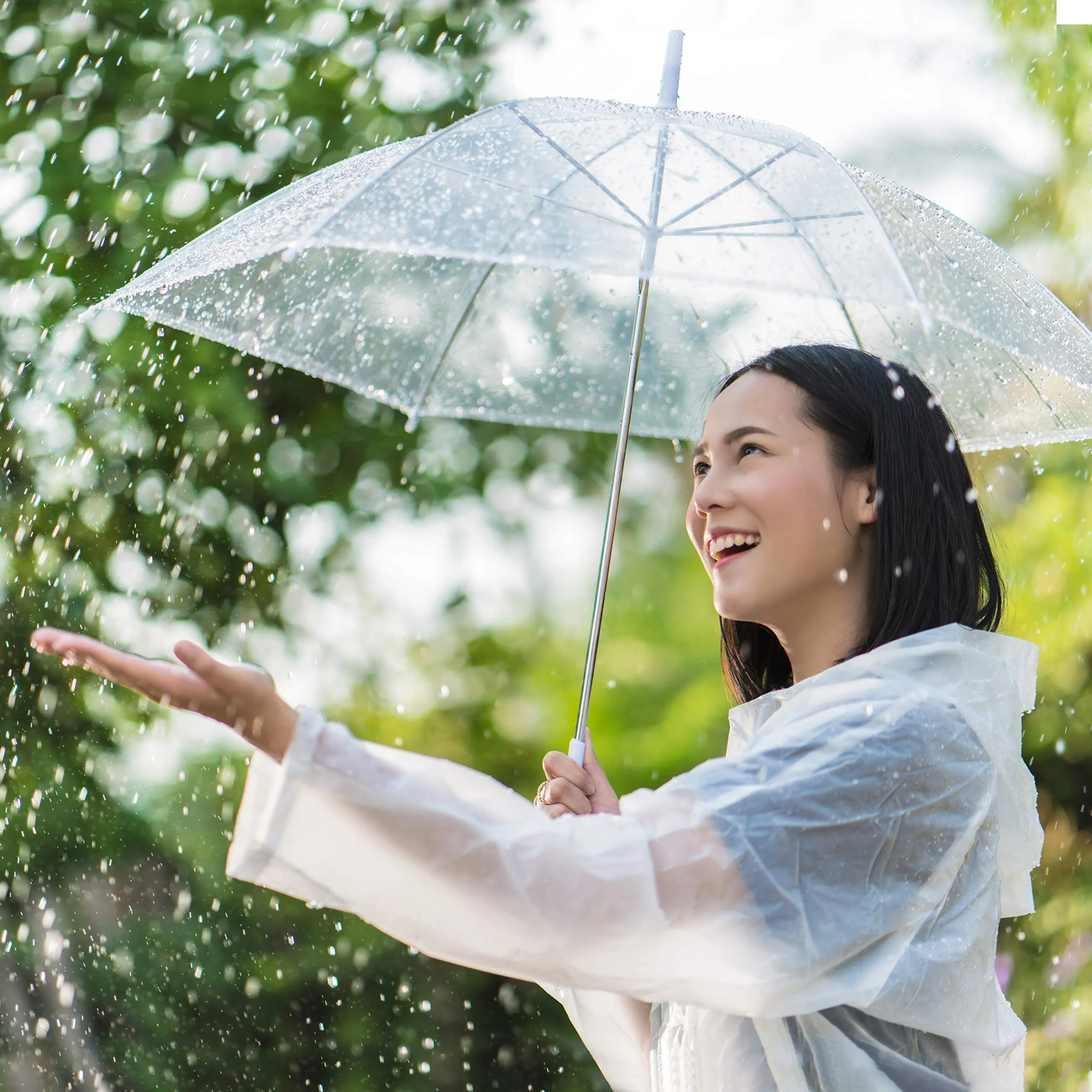 2 Waterproof Ponchos (Adult)