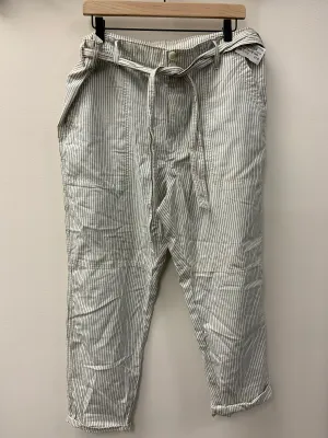 American Eagle Pants Size 13/14 (32)