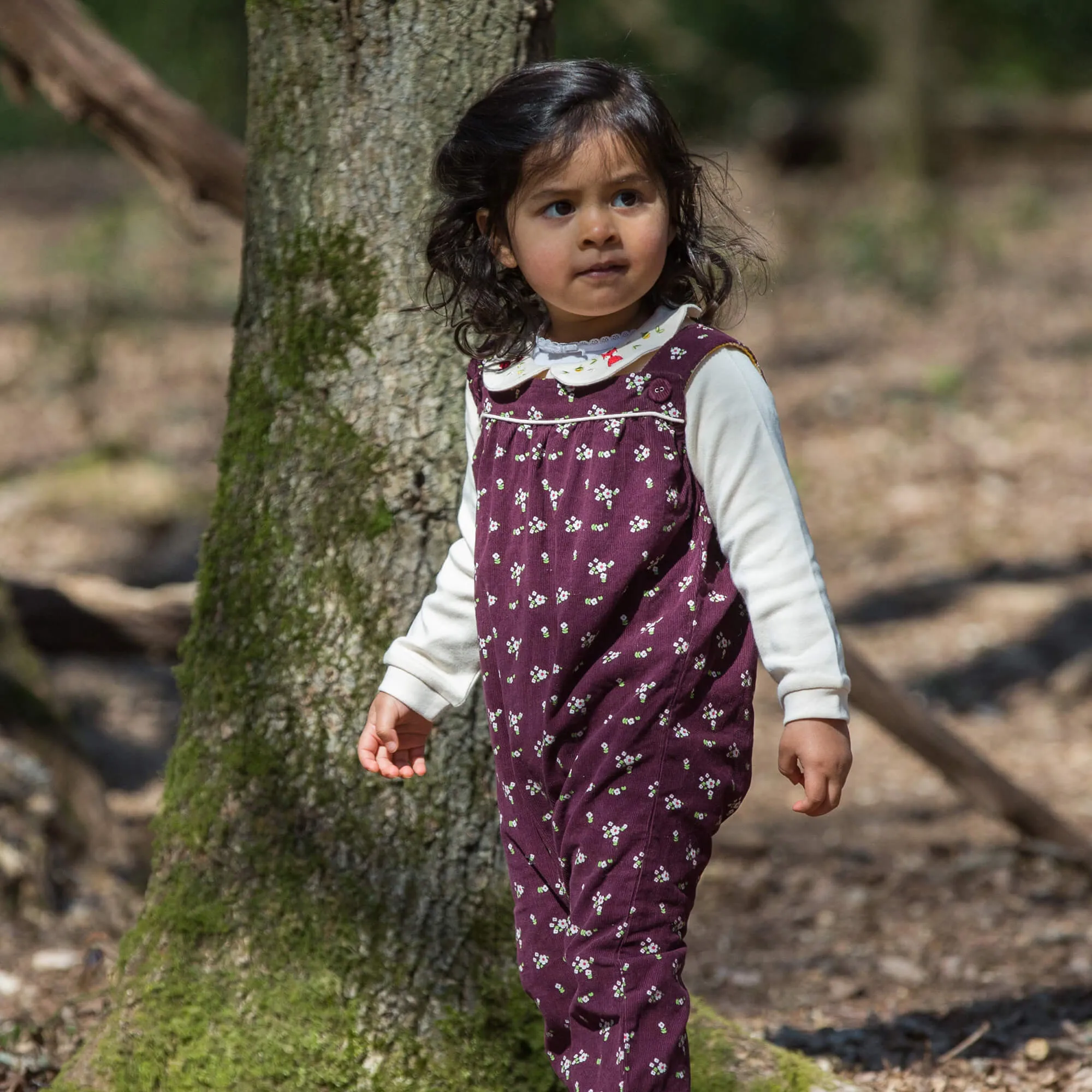Autumn Fox Embroidered Organic Baby Bodysuit