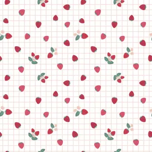 Berry Market by Riley Blake GINGHAM BERRIES/WHITE