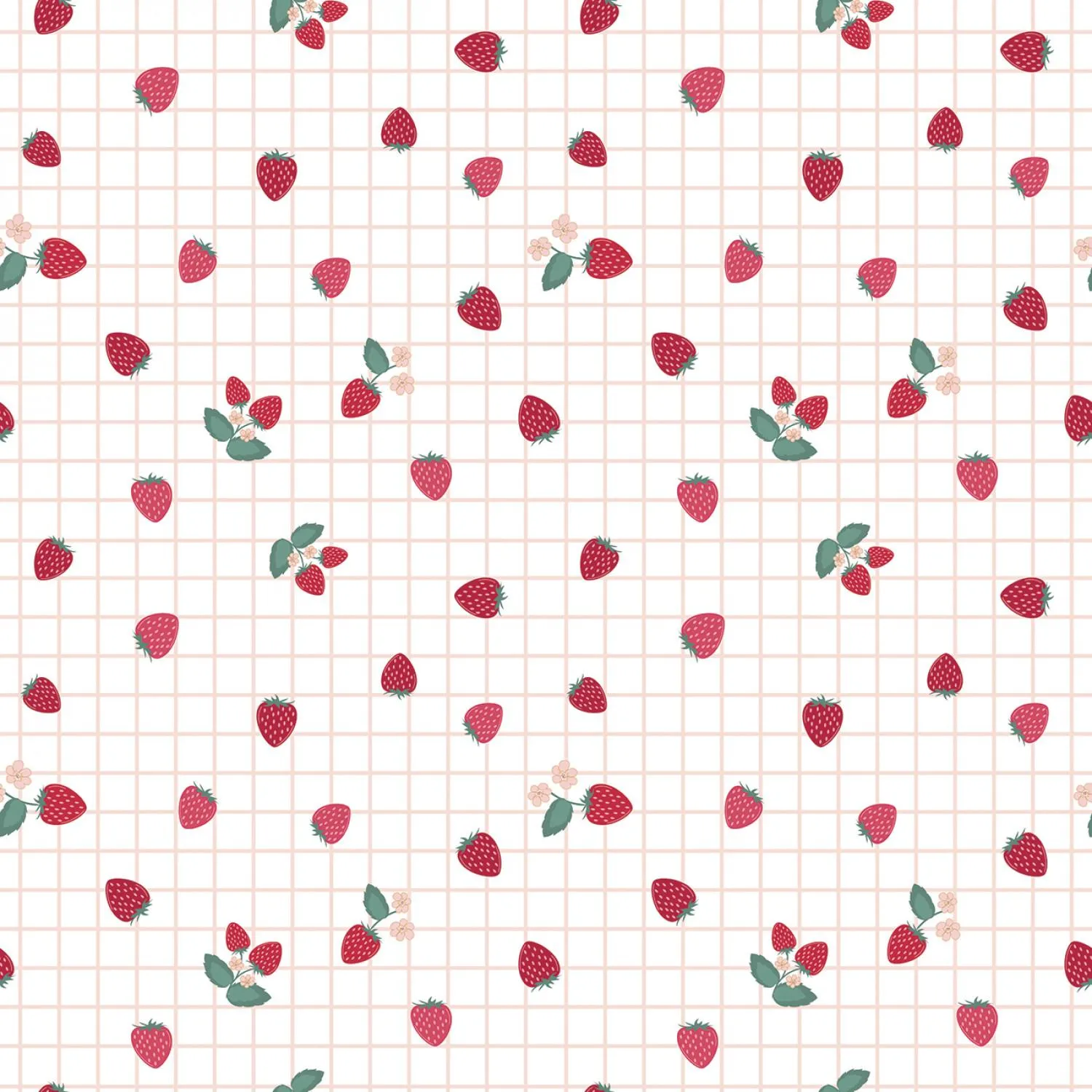 Berry Market by Riley Blake GINGHAM BERRIES/WHITE