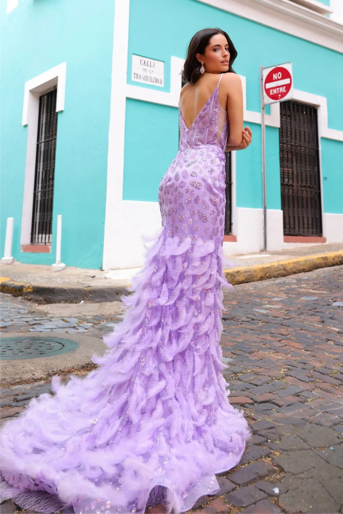 “Birds of a Feather” Gown (4 Colors)