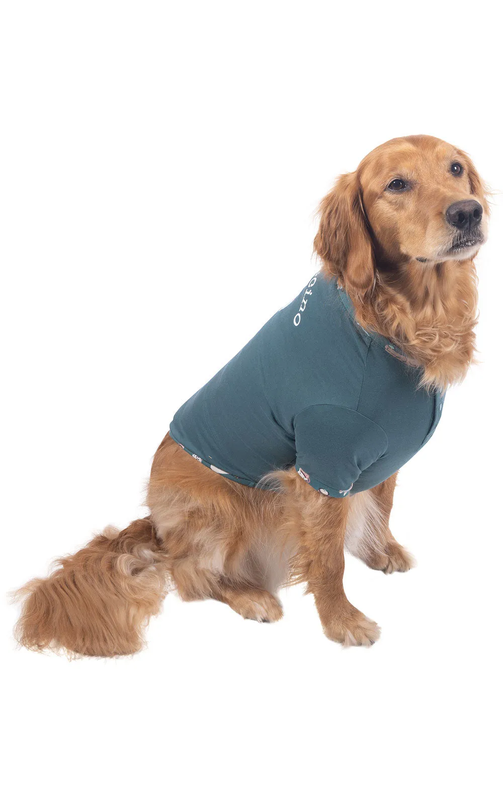 Coffee Dogs Matching Pet & Owner Pajamas