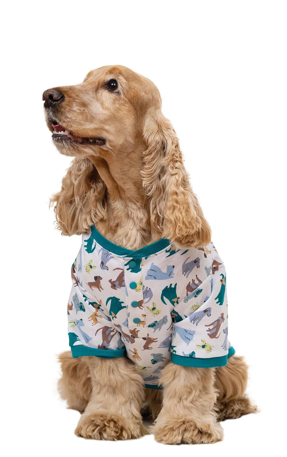Dogs Are My Favorite Matching Pet & Owner Pajamas