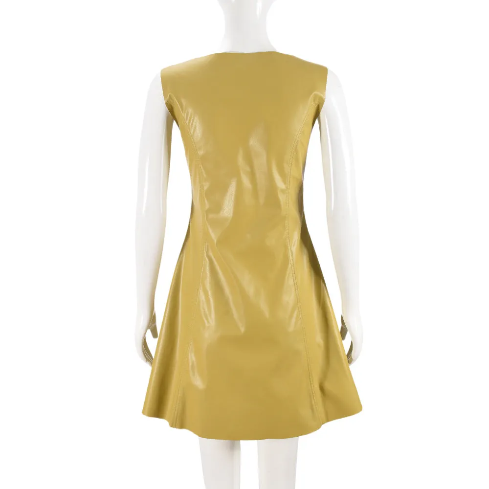 Faux Leather Fit and Flare Mini Dress