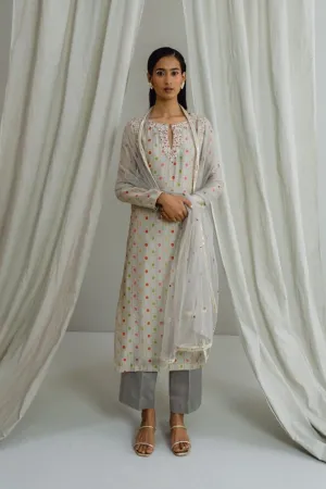Grey Printed Kurta Set