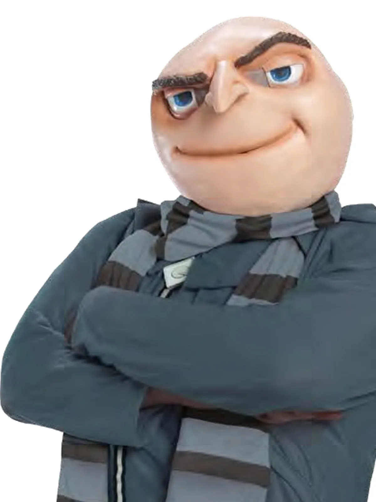 Gru Despicable Me Minion Adult Costume