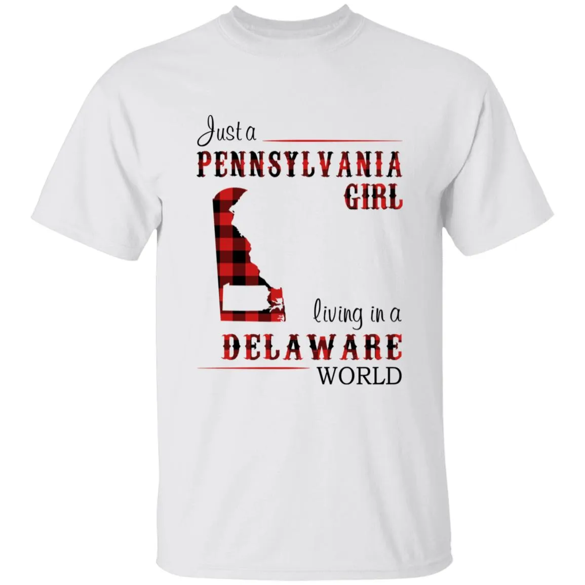 Just A Pennsylvania Girl Living In A Delaware World T-shirt