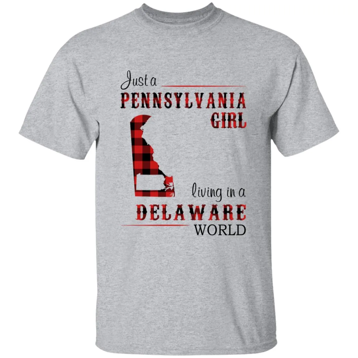 Just A Pennsylvania Girl Living In A Delaware World T-shirt