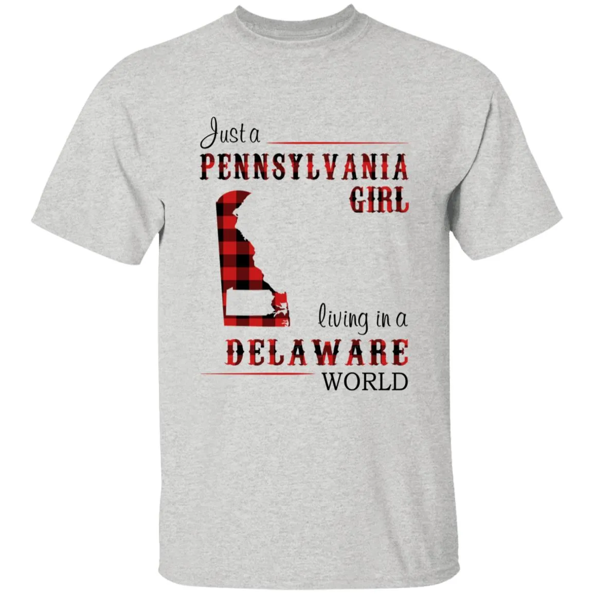 Just A Pennsylvania Girl Living In A Delaware World T-shirt
