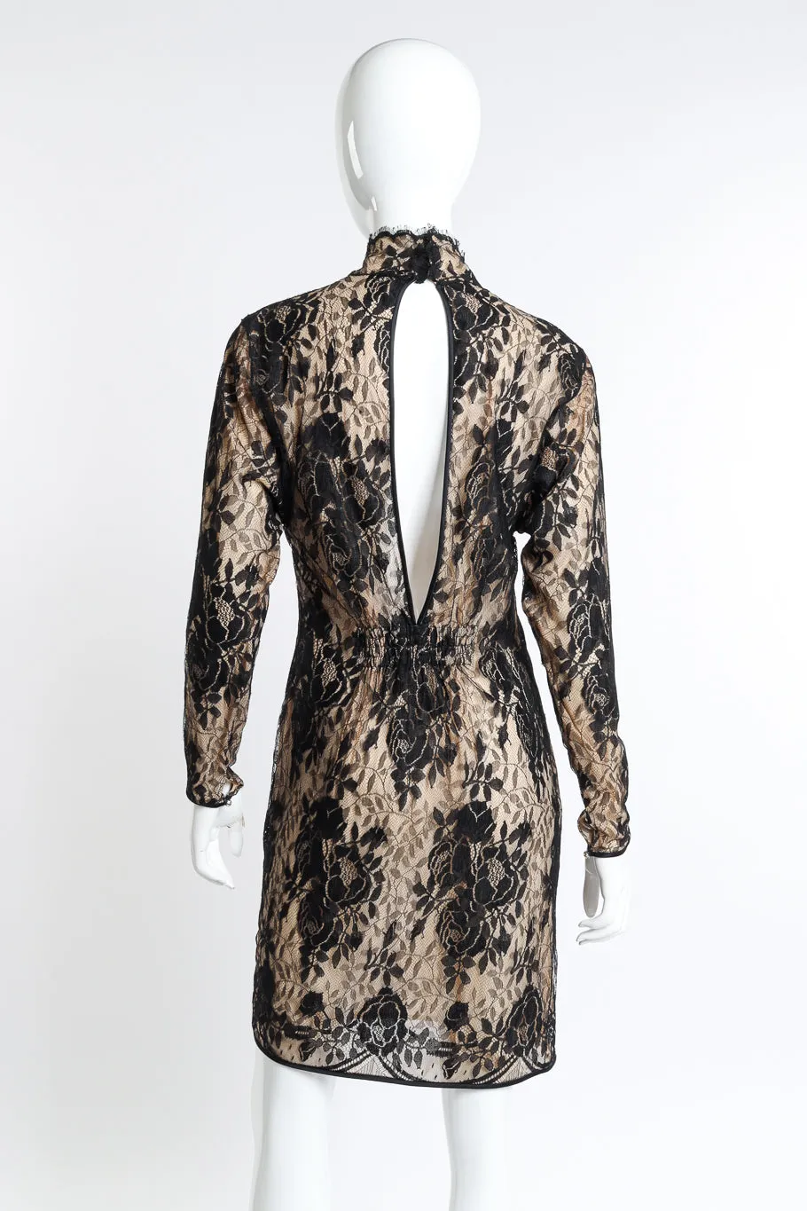 Lace Silk Peekaboo Dress