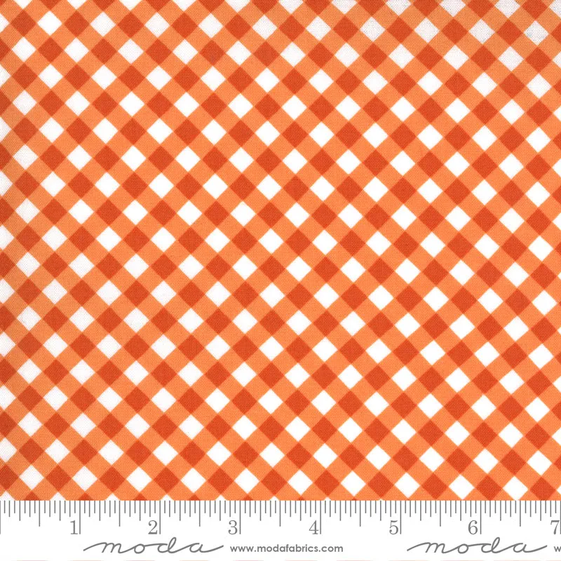 Midnight Magic 2, Criss Cross in Pumpkin - 35" REMNANT