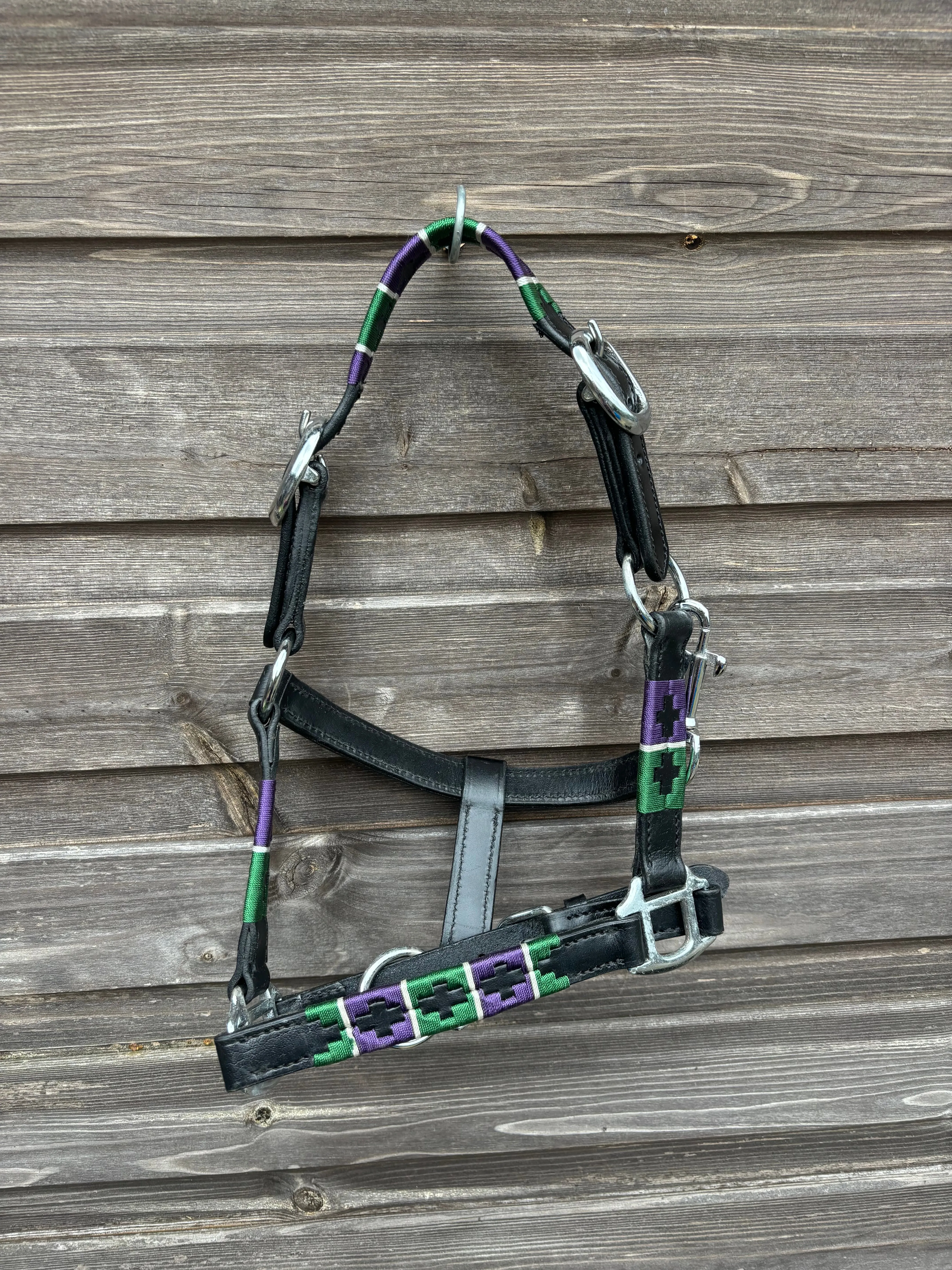 Mini Shetland polo style head collars and leather head collars❤️