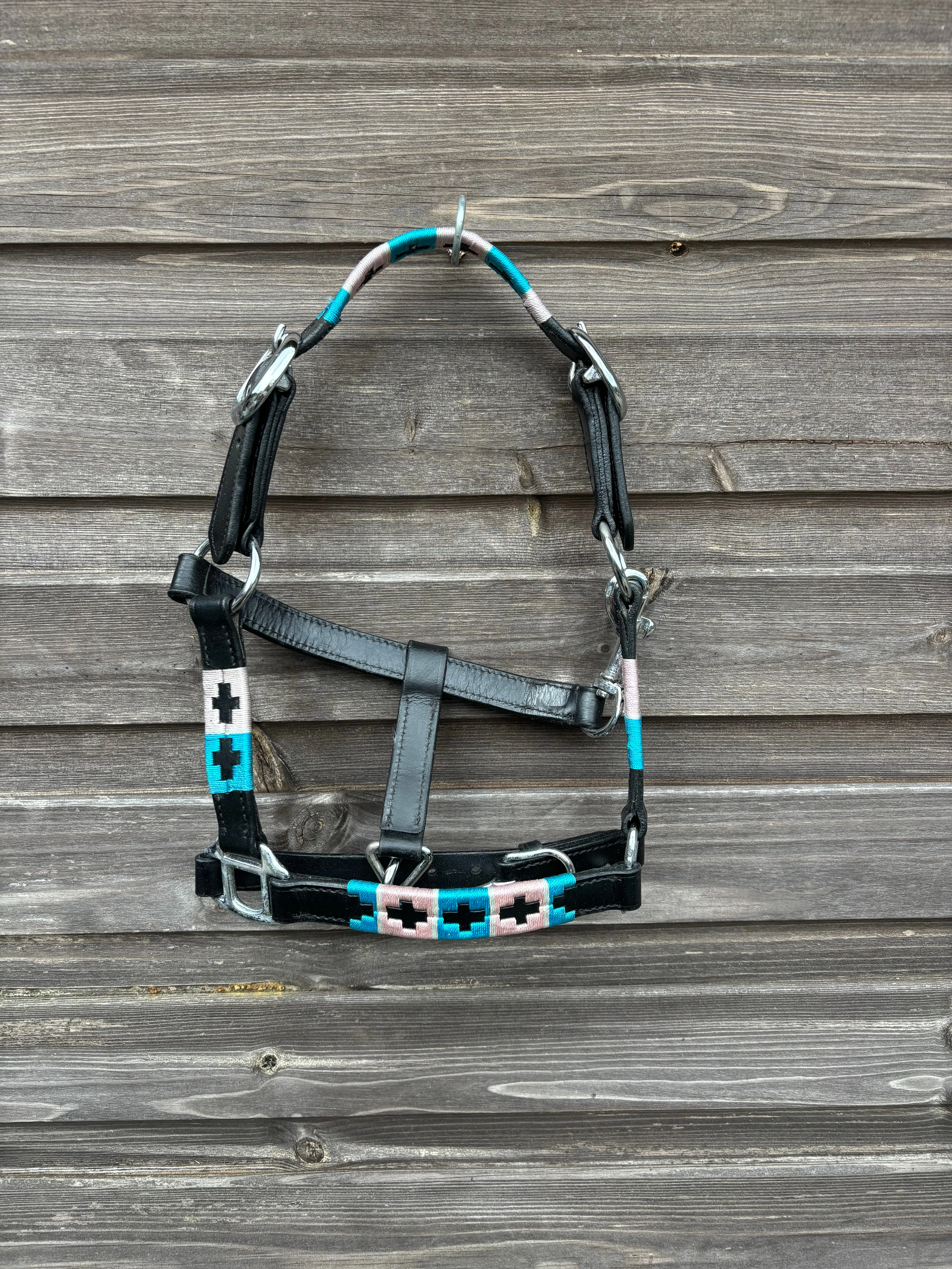 Mini Shetland polo style head collars and leather head collars❤️