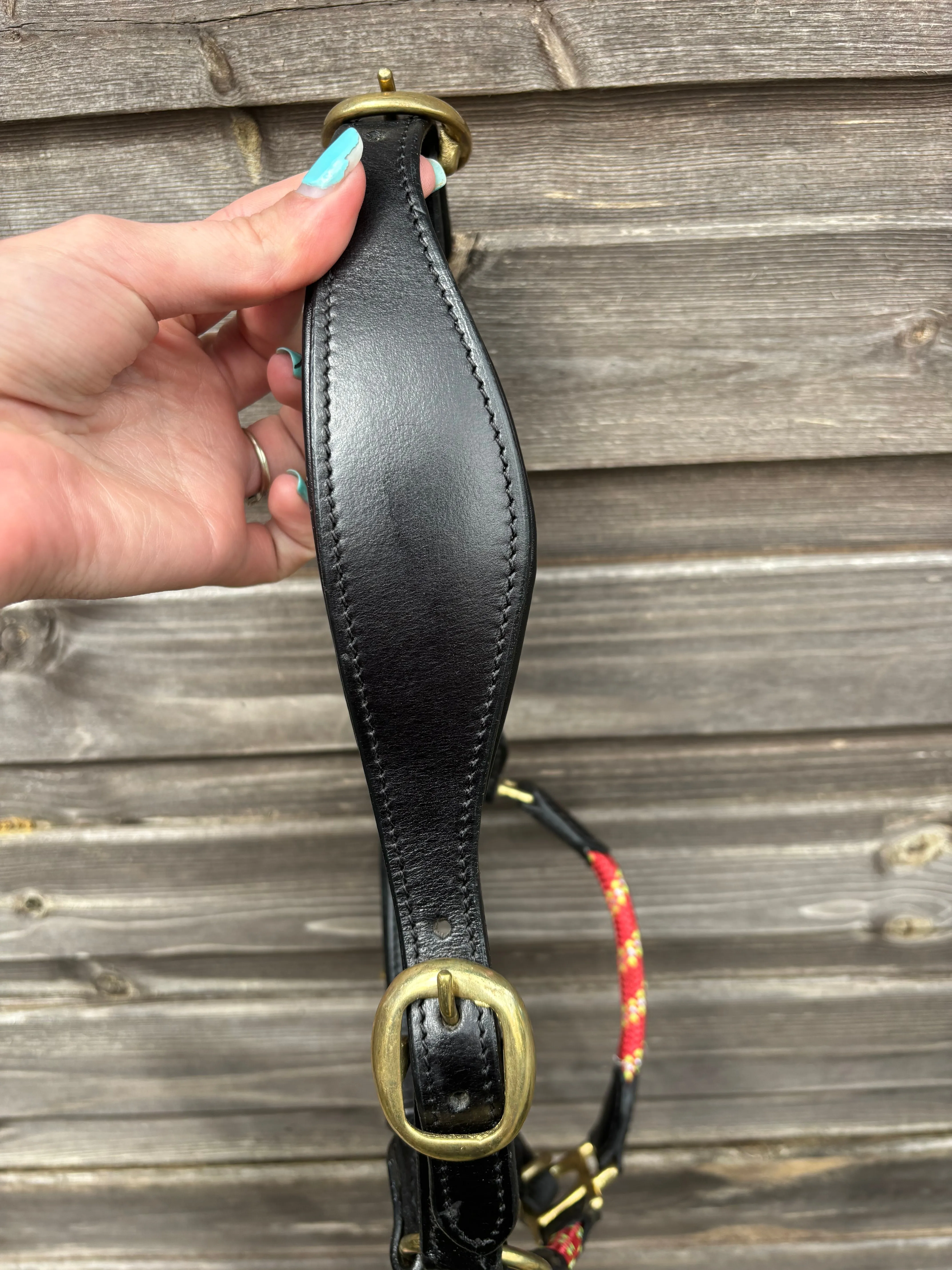 Mini Shetland polo style head collars and leather head collars❤️