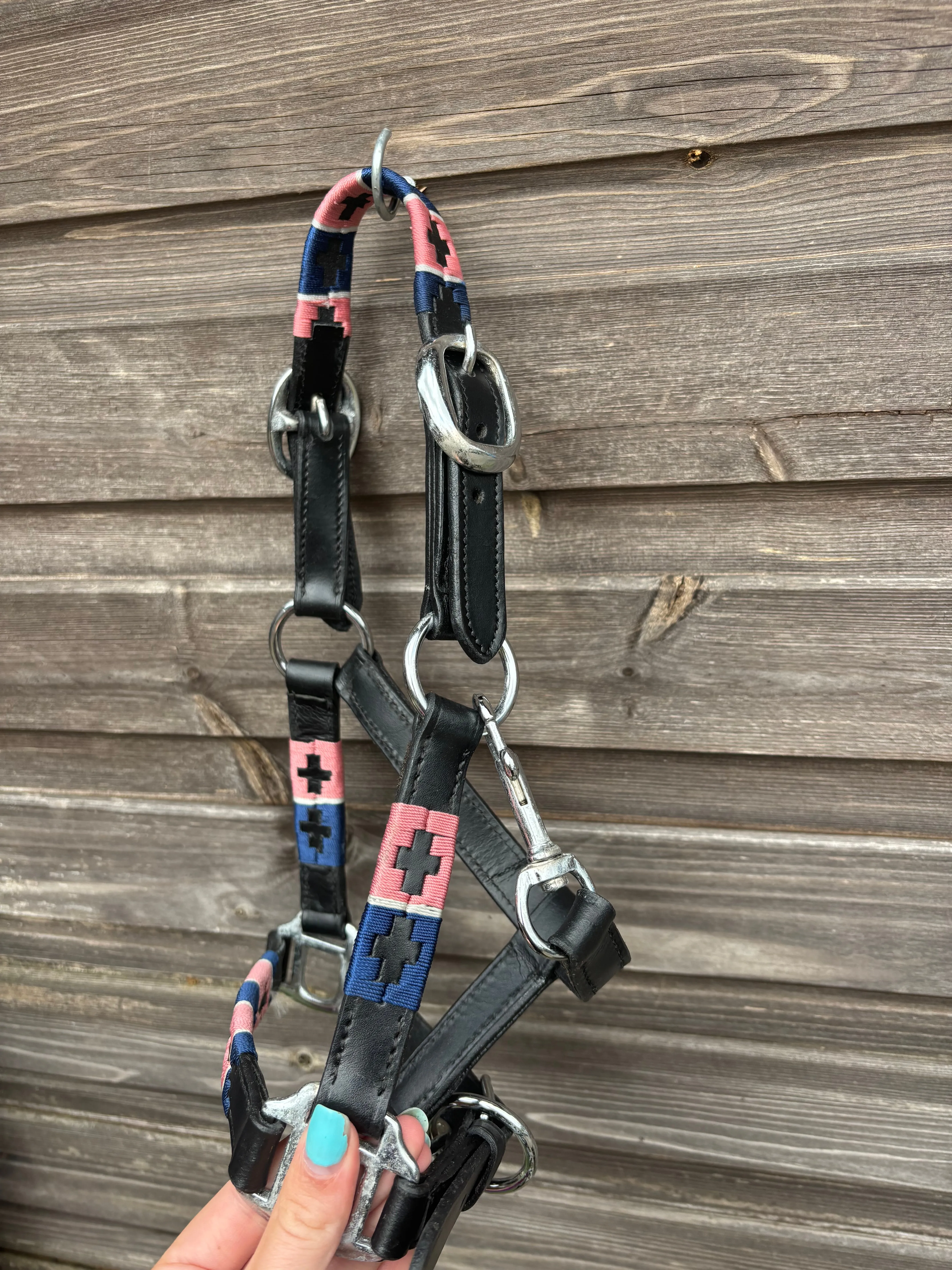 Mini Shetland polo style head collars and leather head collars❤️