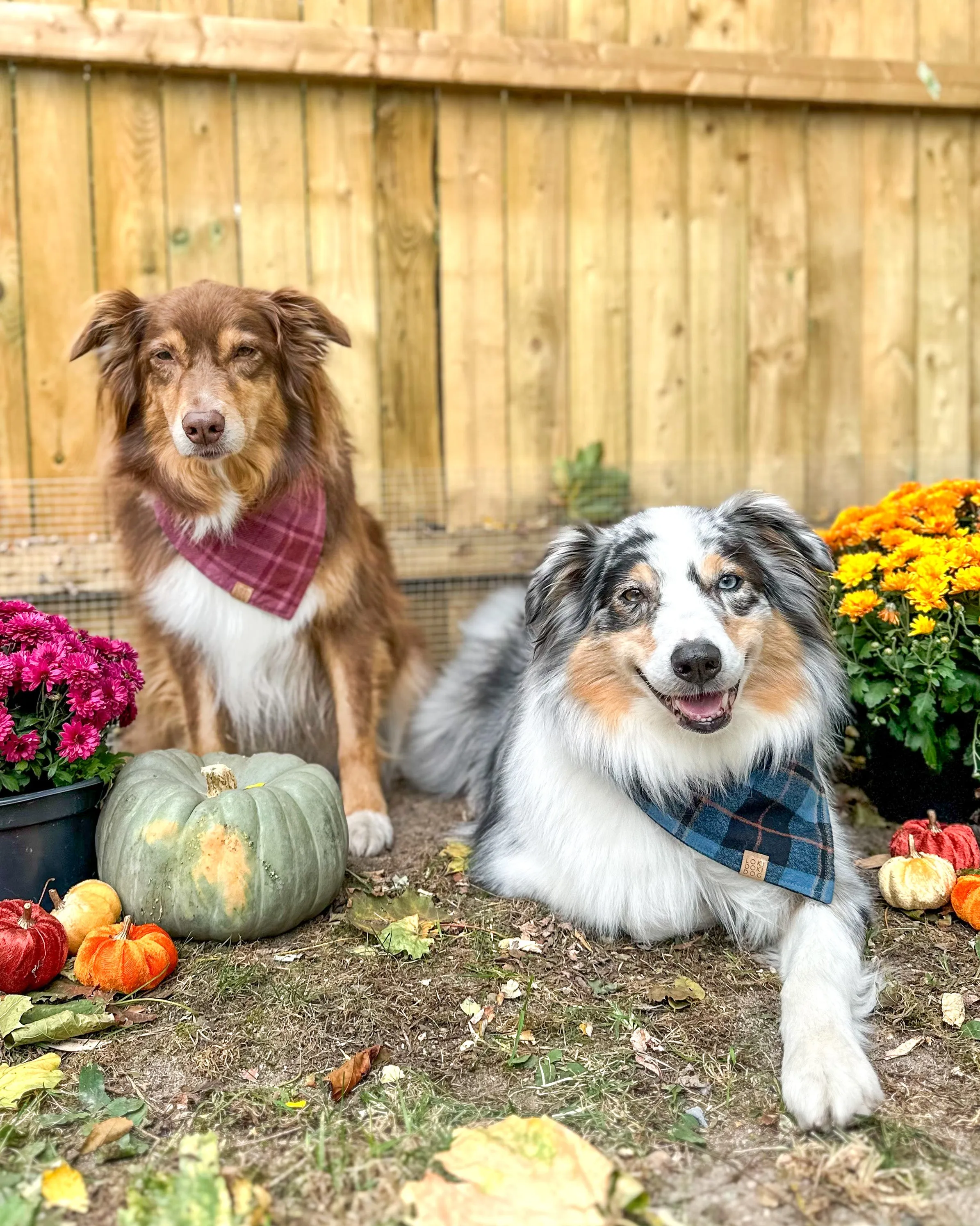 Mulberry Plaid Flannel Dog Bandana (Personalization Available)