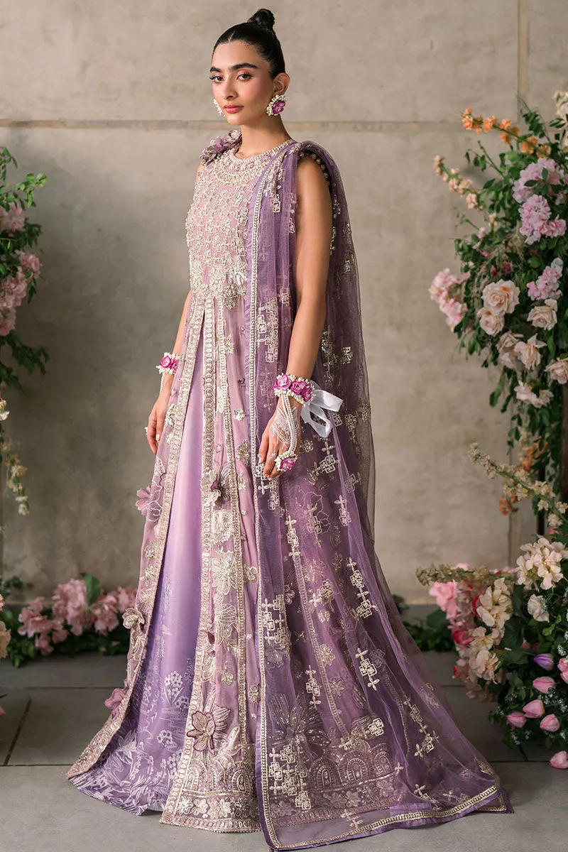 MUSHQ | Mastani Evening Luxury Chiffon Collection | SANA