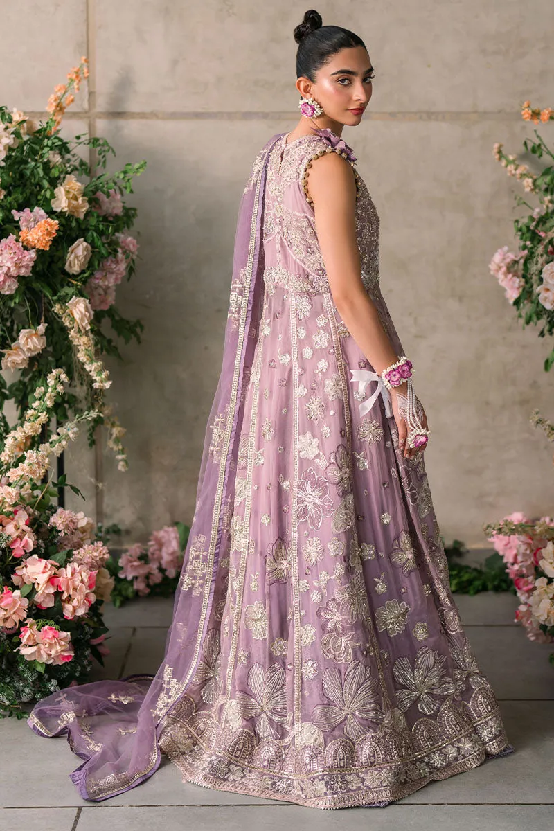 MUSHQ | Mastani Evening Luxury Chiffon Collection | SANA