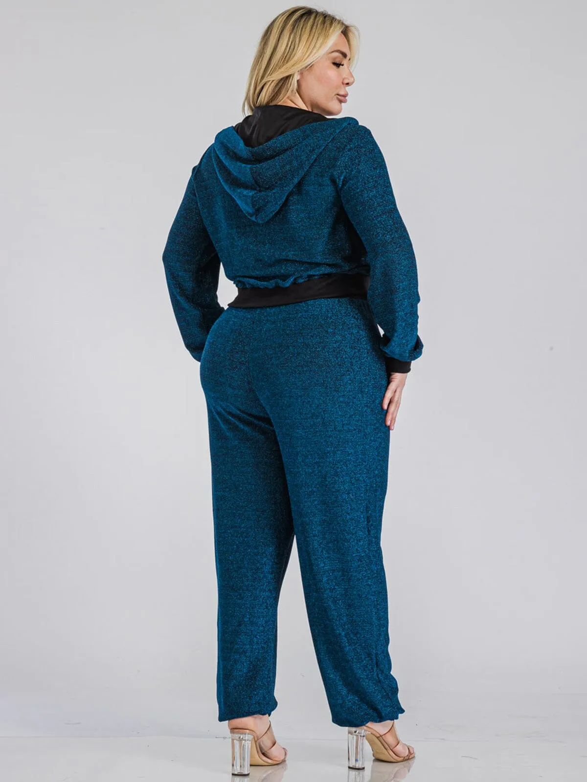 PLUS SIZE LONG SLEEVE JACKET & ELASTIC WAIST PANTS SHIMMER 2PC. SET
