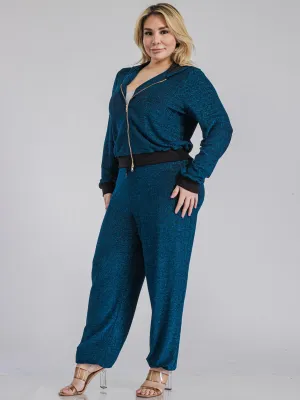 PLUS SIZE LONG SLEEVE JACKET & ELASTIC WAIST PANTS SHIMMER 2PC. SET