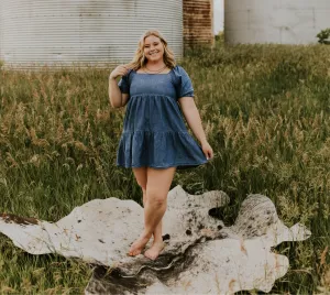 Short Sleeve Denim Dress