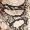 Snake Printed Culotte Jumpsuit With Tie Belt