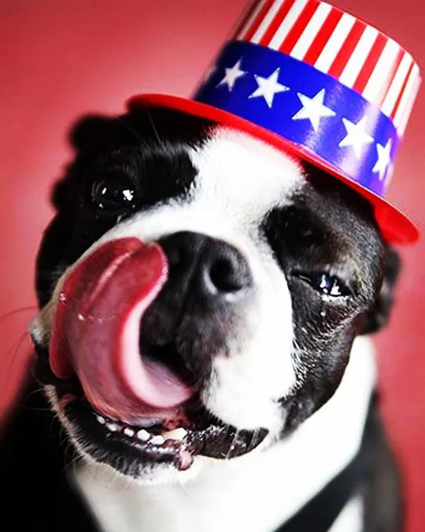 USA