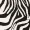 Zebra Printed Puff Sleeve Bodysuit